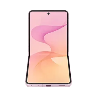 iPhone 17 Pro Back